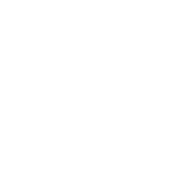 ico1