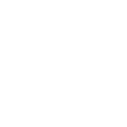 ico2