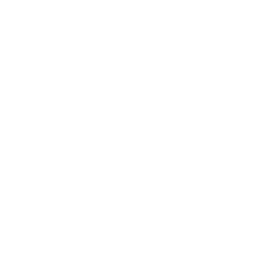 ico3
