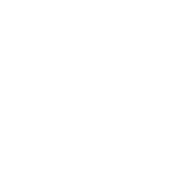 ico4